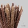 Dekoration Blumtal Blumtal Premium Pampasgras | Natürliche Trockenblumen (58-60cm) – Boho Deko für Vasen | 30/50/100 Stück | Langlebige Zimmerpflanzen Alternative Naturbraun