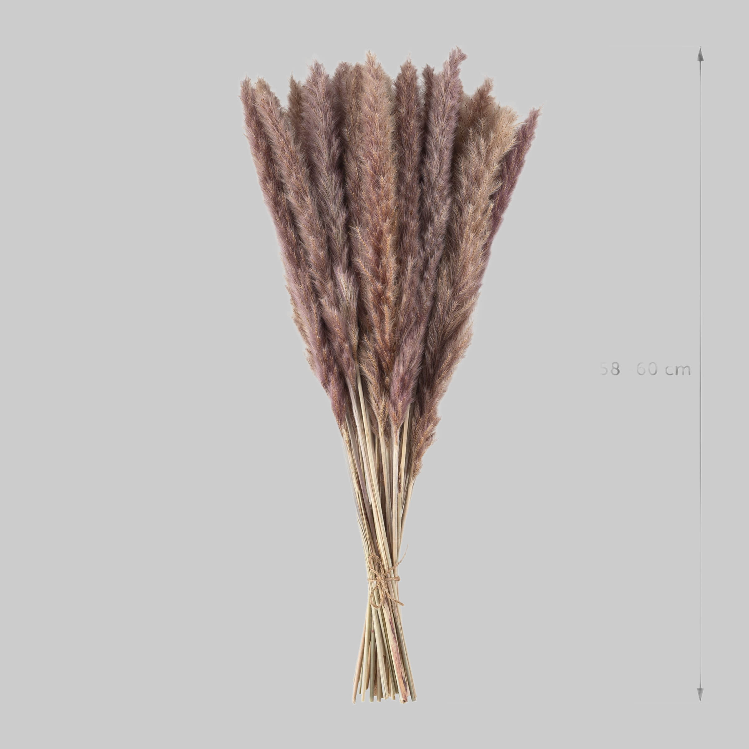 Dekoration Blumtal Blumtal Premium Pampasgras | Natürliche Trockenblumen (58-60cm) – Boho Deko für Vasen | 30/50/100 Stück | Langlebige Zimmerpflanzen Alternative Naturbraun