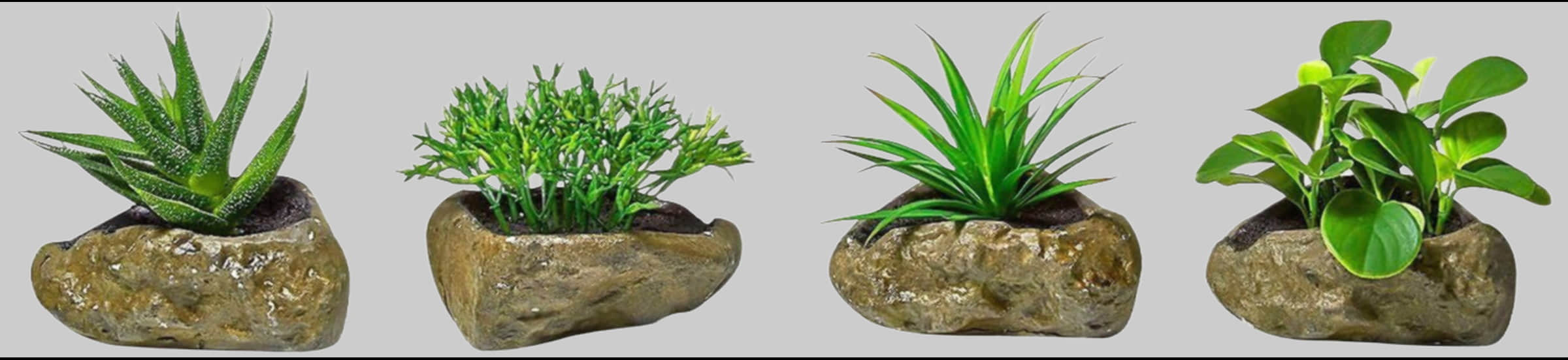 Home affaire Kunstpflanze »Sukkulenten« 4er Set (12 cm) - täuschend echte Dekopflanzen für Wohnzimmer & Büro Dekoration Home affaire