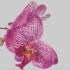 Home affaire Dekoration Home affaire Premium Artificial Orchid Plant - 55cm Tall Realistic Purple Silk Orchid in Decorative Silver Pot for Home & Office Decor lila