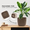 Garten & Balkon Konzept 11 Konzept 11 Premium Blumentopf 2in1 mit Untersetzer | Kunststoff Pflanzkübel (11-19 cm) in 6 Farben | Wetterfest & Bruchsicher Braun