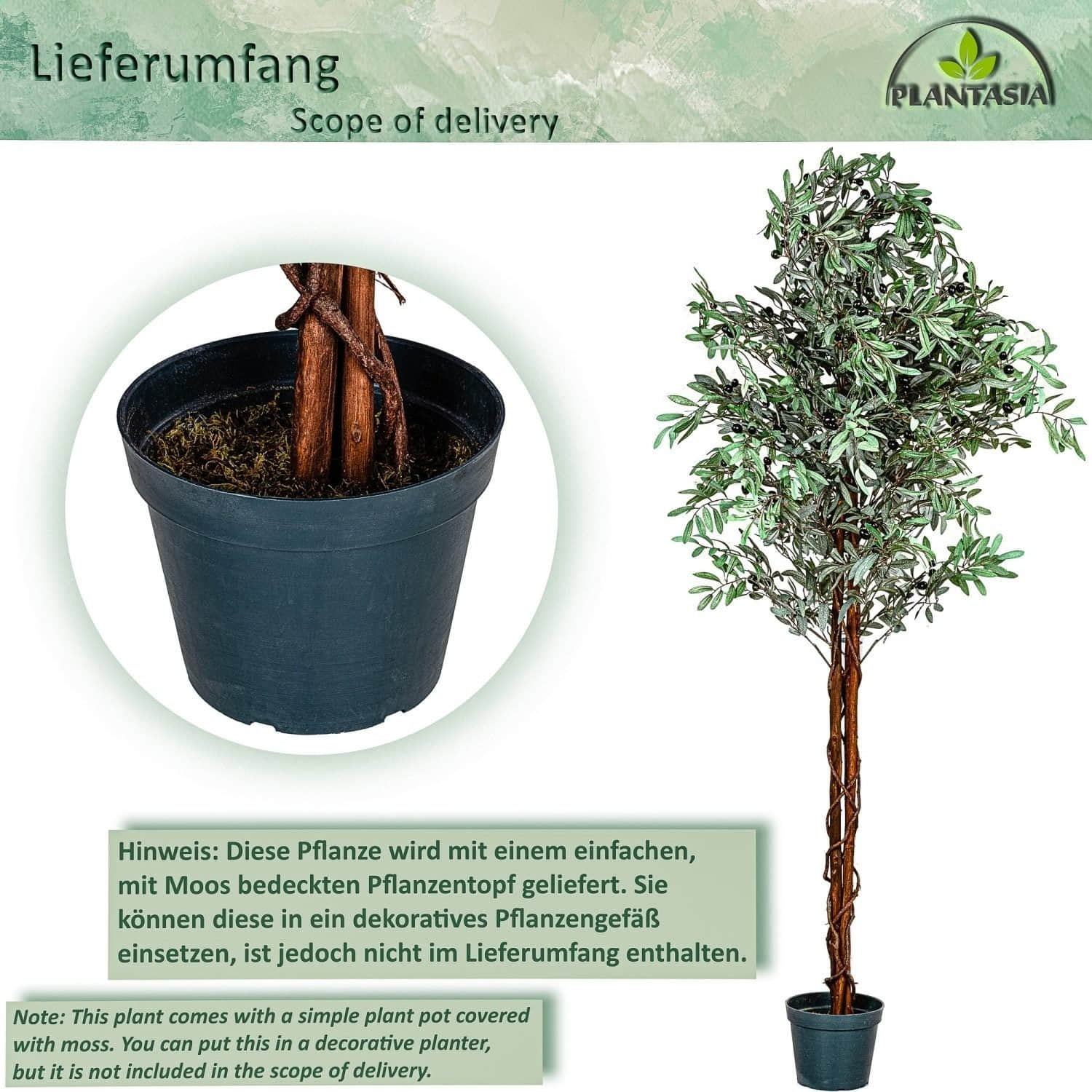 PLANTASIA Kunst-Olivenbaum 180 cm mit Echtholzstamm | 2256 Blätter & Früchte | Zementierter Topf Ø20cm | Premium Kunstpflanze für Wohnung & Büro PLANTASIA Dekoration