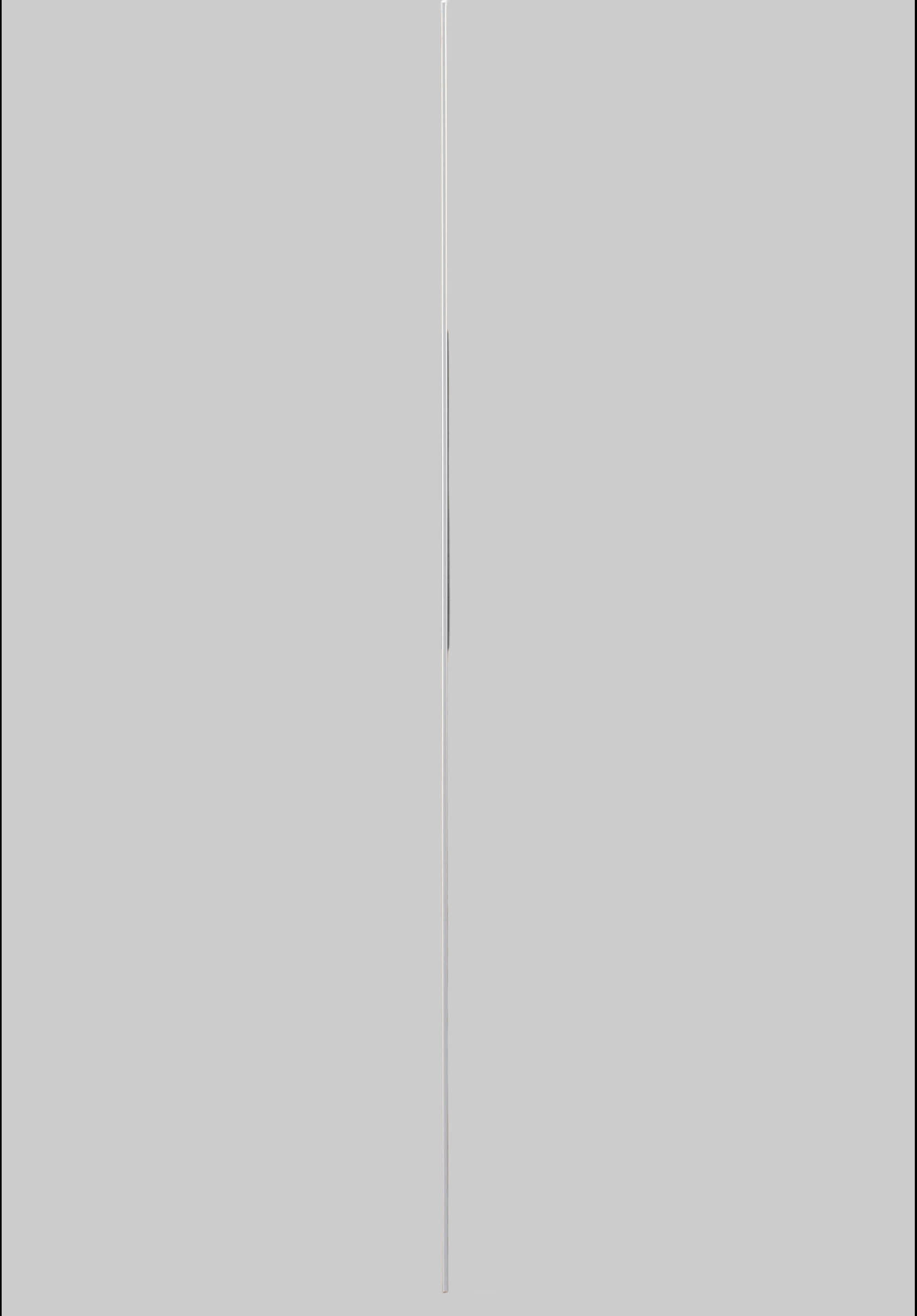 WIMEX Schwebetürenschrank Bramfeld TOPSELLER | Moderner Kleiderschrank mit Glaselementen (270x208cm) | 2 Einlegeböden | Weiß/Weiß plankeneic Schränke Wimex