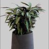 Garten & Balkon finestgreen finestgreen Pflanzkübel 'Patt' Grey Wasched | Handgefertigtes Pflanzgefäß | Frost- & UV-beständig | Für Innen & Außen Schwarz